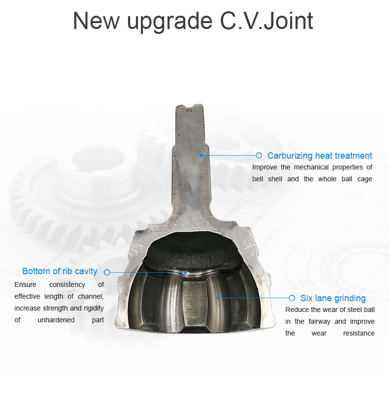 首页|尊龙人生就是博官网入口